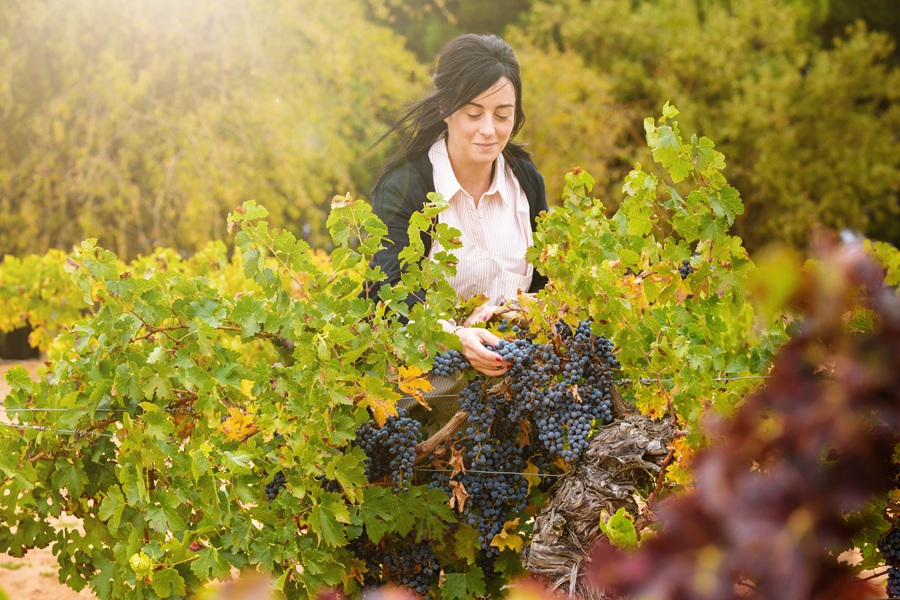 WEB Hammeken Patricia Lozano winemaker